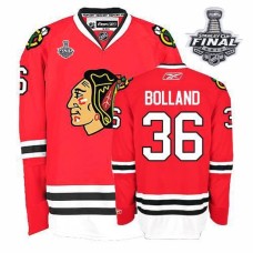 Dave Bolland Jersey 36 Premier Red Home Man With 2013 Stanley Cup Finals